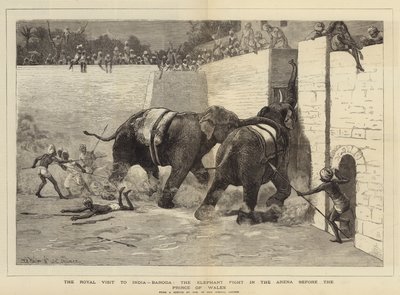 La visite royale en Inde, Baroda, le combat d